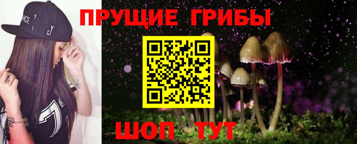 Псилоцибиновые грибы GOLDEN TEACHER  Вход с VPN  Будённовск 
